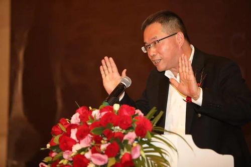 杨澜最新爆料,揭秘娱乐圈不为人知的幕后故事  第3张